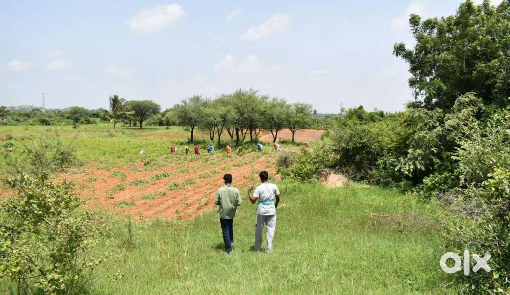 Jaraka (Nuagaon) near BPCL petrol pump, Plot sale