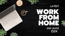 Online job application system