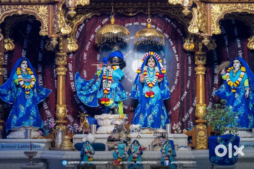 Need  a accountant employee  With experience and Tally.