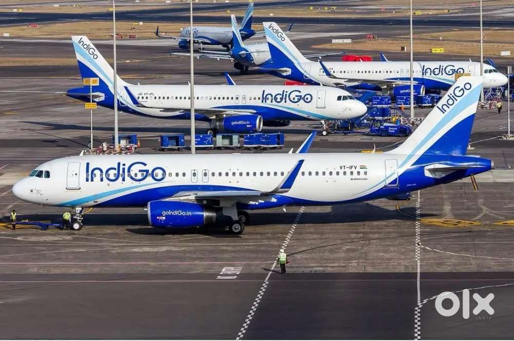 Recruitment has been started on your nearest airport ! Apply now