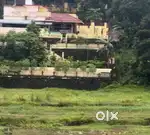 42 cents of agricultural paddy filed for urgent Sale