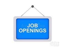 Office Admin and Tele caller