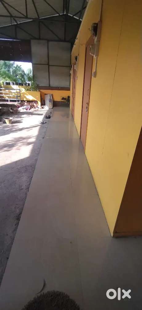 Freshly painted Rooms for Rent