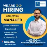 Location Manager( Consumer Durables Collection manager )