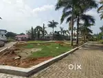 House plots for sale in Aluva Choondy