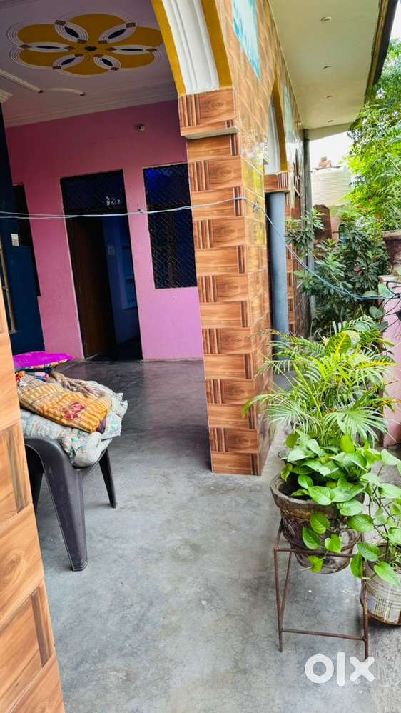 Big ventilated individual House