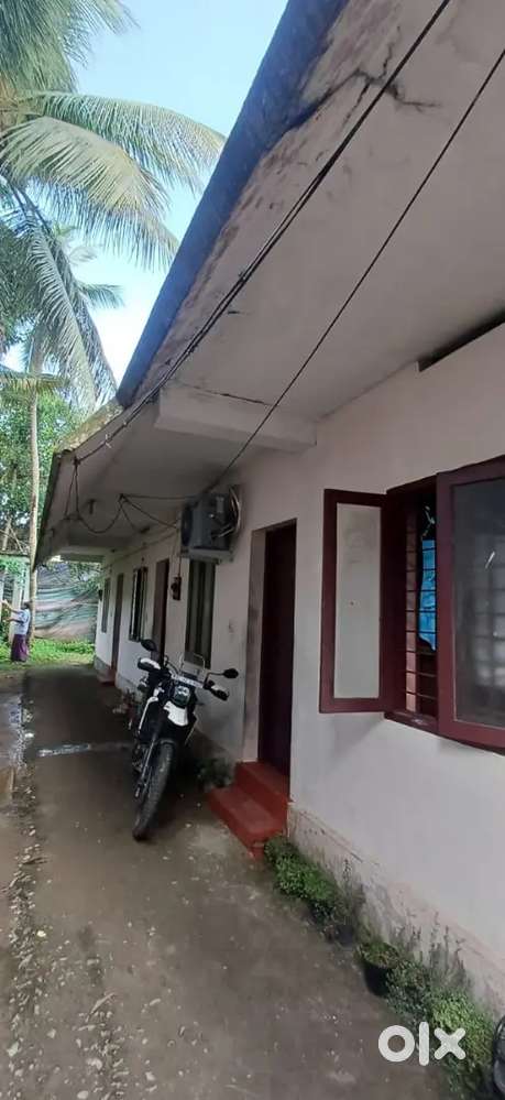 Semi furnished 1bhk apartment ground floor for rent near Thrikakkara