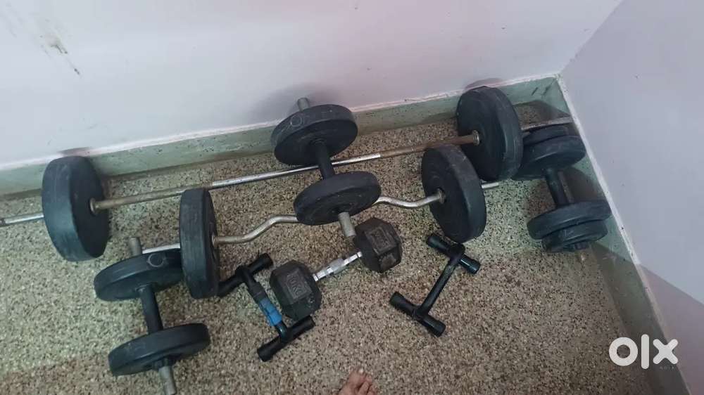 Gym equipment