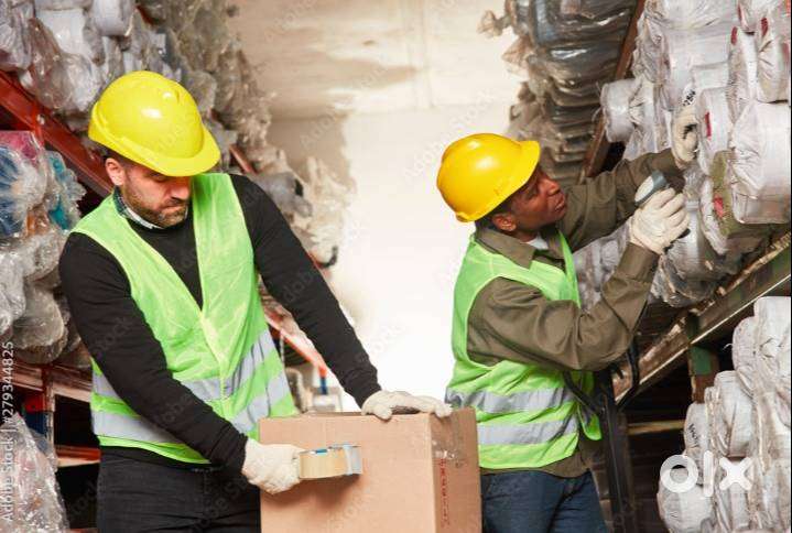 Picker packer jobs in blinkit company