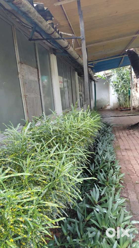 Shed ideal for warehouse or godown