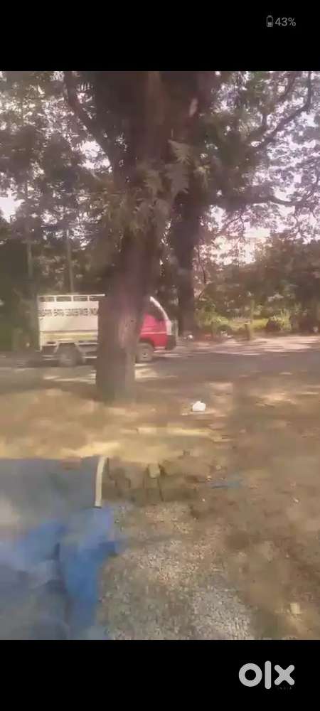 Guwahati gorchuk, highway 1st plot