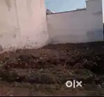 Vinayak Nagar mein 22 * 50 plot for sale
