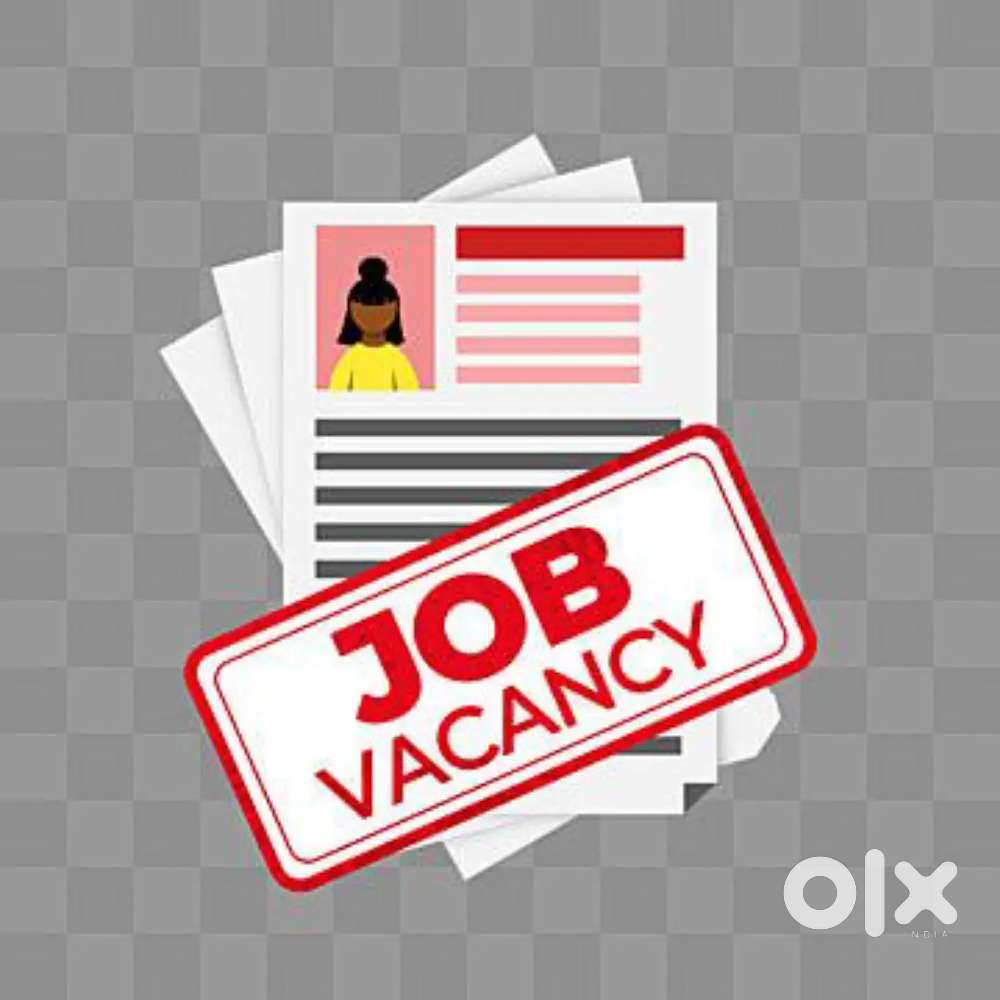 JOB VACANCY FOR FRESHERS