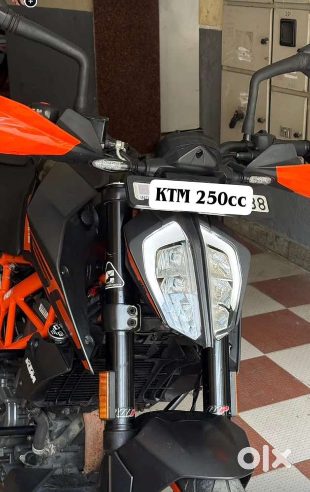 Duke 250 - Best crazy deal - All up to date - Very good condition