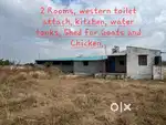 Rent 7.5 Acres Farm House with Mango trees and Goat shed
