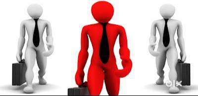 Loan due collection Field Executive
