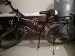 Bikecycle sale