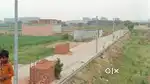 Plots in royal green