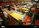 Wanted m/f night shift/ days shift packing helpers