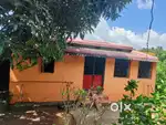 House for rent