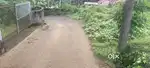 ഏറ്റുമാനൂർ കണക്കാരിൽ മെയിൻ റോഡിൽ നിന്നും 200 mtr ദൂരത്തിൽ 10 സെന്റ്
