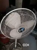 Frata long fan