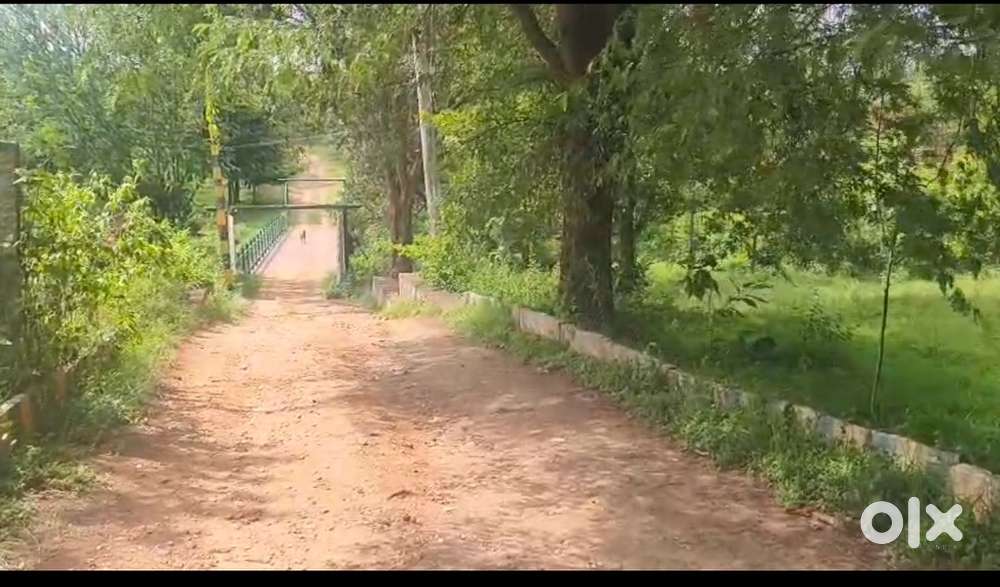 Holiday valley (denkanikottai) land available