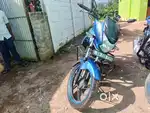 Amarajis sel
