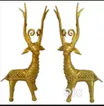 Dokra deer dokra Deer