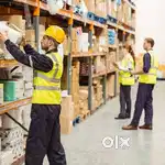 /Logistics Job Vacancy with Free Food & Accommodation | Apply Now