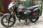 RC insurance bil Bima everything okay
