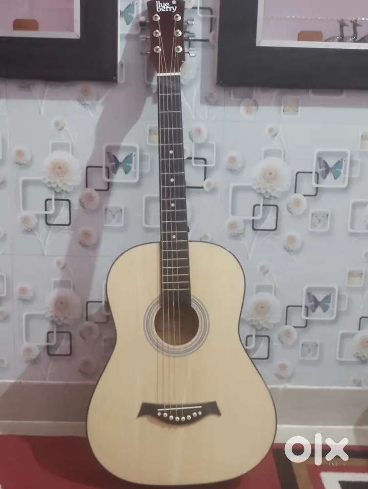Blueberry Acoustic Guitar