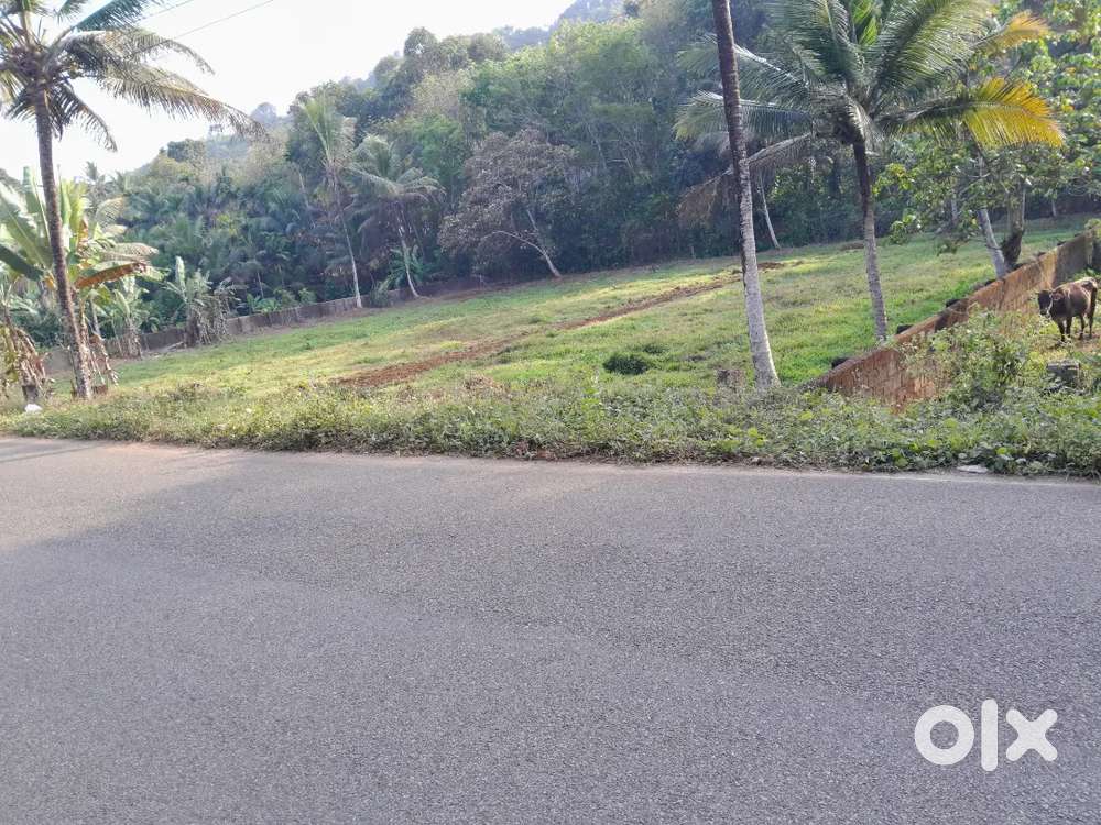 Comercial/ residencial plot for sale