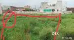 286 sq plot in prime location rajpura