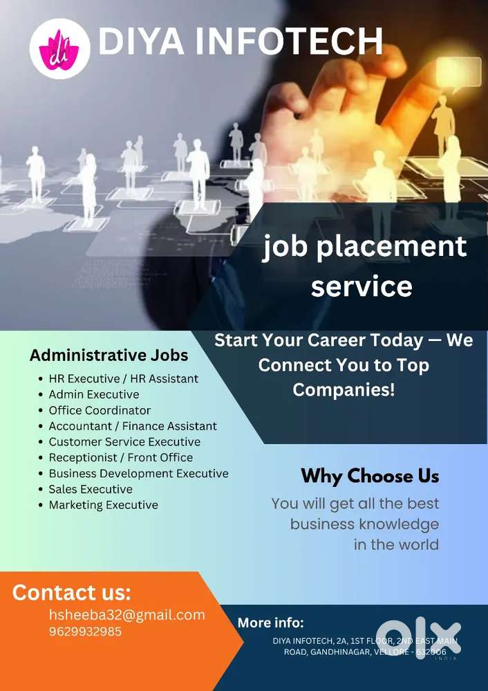 DIYA INFOTECH  a placement service platfrom