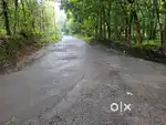 Angamaly Mookkannoor കണ്ടെയ്നർ കയറുന്ന 6 acr വിലക്കുറവിൽ