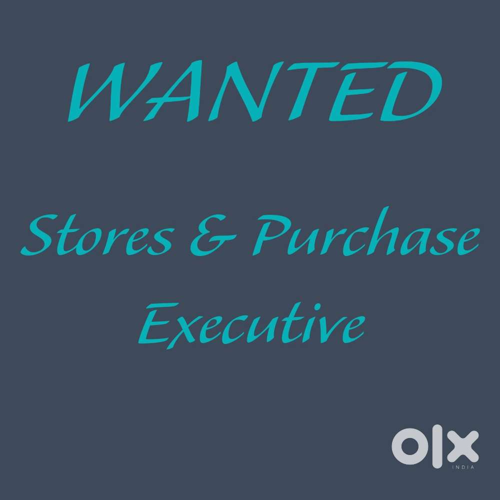 Stores & Purchase Executive