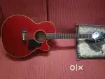 LIVE GUITARIST AND SINGER