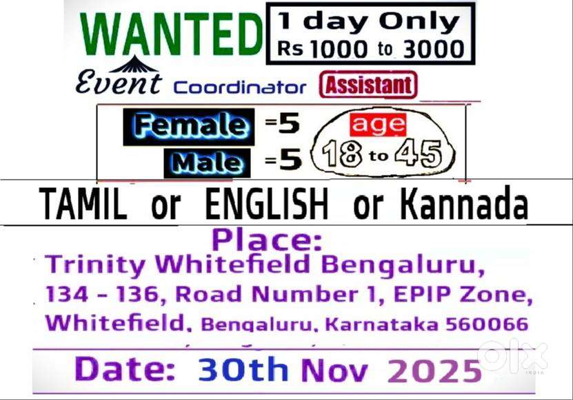 Event Co Ordinator or Assistant wanted