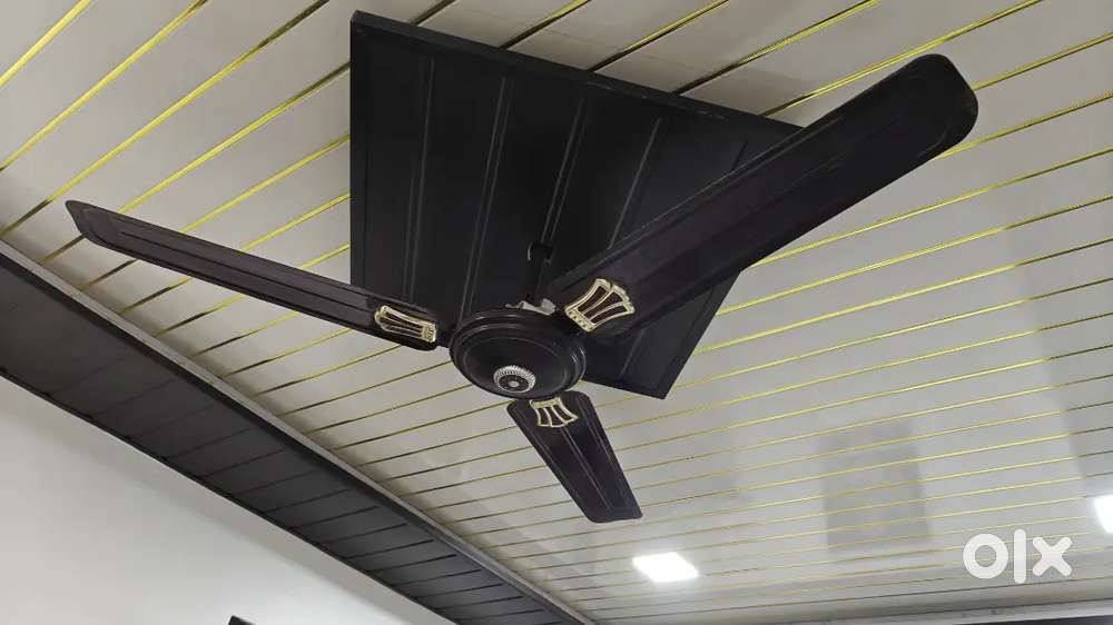 Two ceiling Fan