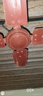 Little Fan