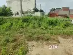 Residential plot 500 sq.yds. for immediate sale.