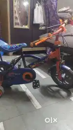 Avon cycle
