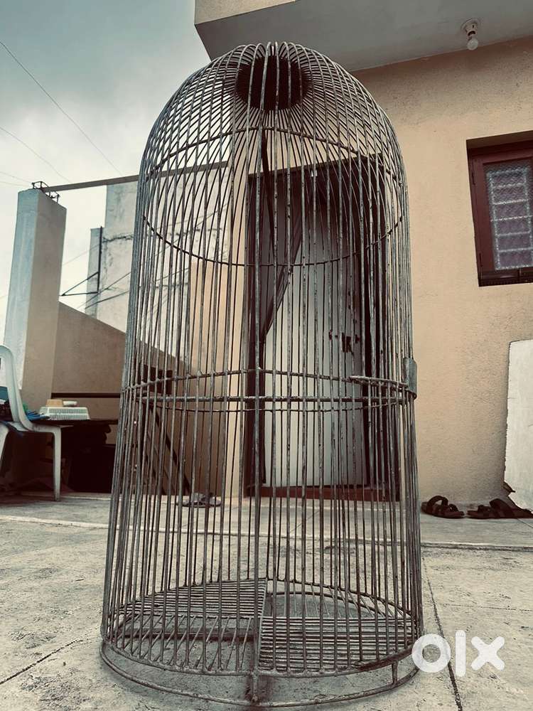 Iron bird cage with hook fixed rate