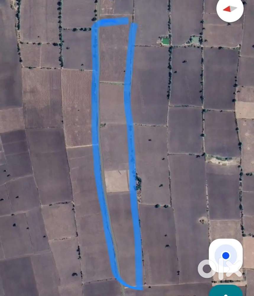 26 Bigha Agricultural Land for sale in Chouru Phagi - 16 Lakh/Bigha