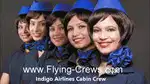 Female Candidates Freshers & Experience  Apply Fast Join Us Indigo Air