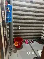 Urgent required female roommate