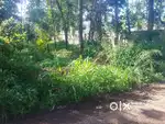 10 cent square plot for sale