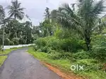 HOUSE PLOT FOR SALE IN ANGAMALY KARAYAMPARAMBU