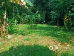 Land in Kodikulam